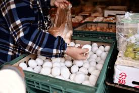 white eggs